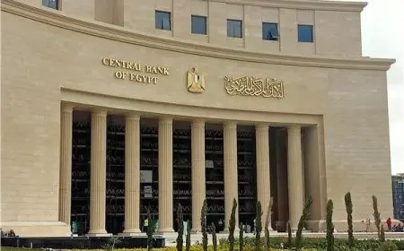 البنك المركزي يشترط حصول البنوك على موافقة الرقابة المالية لتمويل الشركات الخاضعة لها