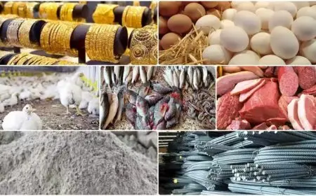 خريطة الأسعار اليوم: انخفاض الليمون واللحوم وارتفاع الذهب