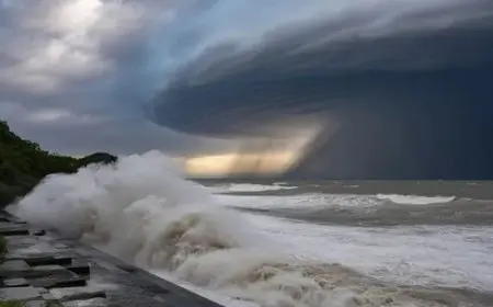 العاصفة راجاسا تتجه غربا على طول الساحل الجنوبي للصين نحو فيتنام