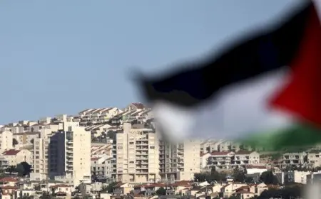 الدفاع التركية: نرحب بالاعترافات بفلسطين ونأمل تحقيق حل الدولتين