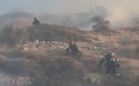 الدفاع المدني السوري: السيطرة على 80 % من حرائق جبل التركمان بريف اللاذقية