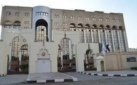 هيئة الاستعلامات تخاطب العالم بتسع لغات على موقعها الجديد لنقل صورة مصر ومواقفها