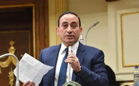 النائب محمد زين الدين: إعلان عدد من دول العالم تأييد إقامة دولة فلسطينية يعكس جهود مصر لدعم القضية