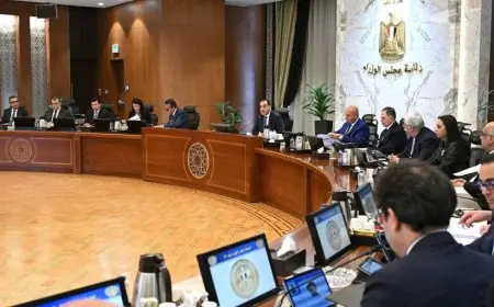 الحكومة توافق على إقامة 3 مشروعات للعمل بنظام المناطق الحرة الخاصة