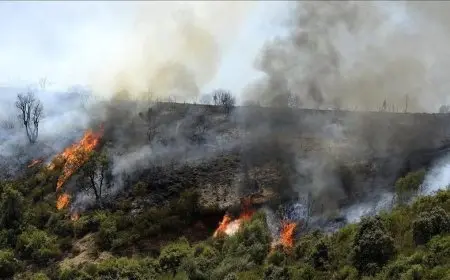 سوريا: فرق الدفاع المدني تسيطر على 80% من حرائق اللاذقية