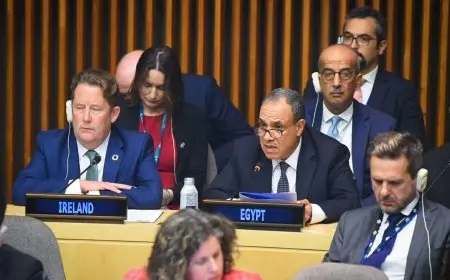 وزير الخارجية يشارك في الاجتماع الثاني لوزراء خارجية دول مجموعة العشرين