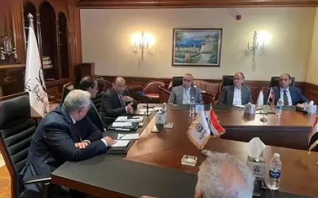 حزب الجبهة الوطنية: لن ننافس على جميع الدوائر.. والمشاورات مع القائمة الوطنية مستمرة