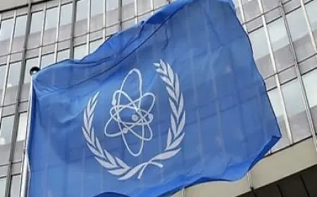وكالة الطاقة الذرية: مسيرات هددت محطة نووية في جنوب أوكرانيا