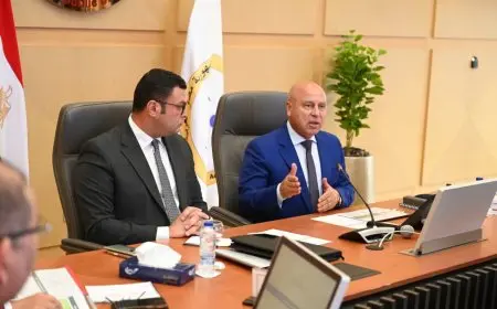 وزيرا الصناعة والإسكان يبحثان موقف ترفيق المناطق الصناعية تمهيدا لطرح الأراضي