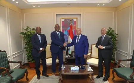 مصر وجيبوتي تبحثان تعزيز التعاون في مجال الموانئ والبنية التحتية