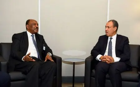 مصر تؤكد دعمها لوحدة السودان وتكثيف الجهود لوقف إطلاق النار