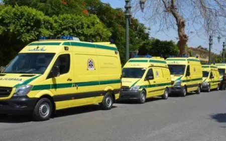 الصحة: الدفع بـ26 سيارة إسعاف إلى موقع حريق مصنع ملابس في الغربية