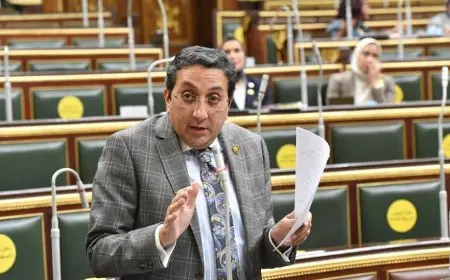 عضو تشريعية النواب يتقدم بتعديل المادة 105 فى الإجراءات الجنائية لتحقيق مطالب المحامين