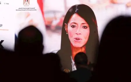 وزيرة التخطيط: الشركات الناشئة بمصر جذبت 254 مليون دولار استثمارات في 8 أشهر