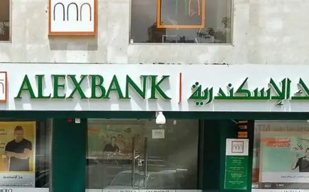 بنك الإسكندرية يطرح حساب توفير بعائد شهري يصل إلى 19%