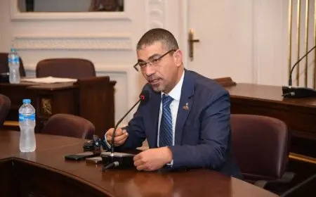 برلماني: الاعتراف الدولي بفلسطين يمثل انتصارا دبلوماسيا لمصر