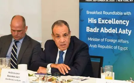 وزير الخارجية يلتقي قيادات مجلس الأعمال للتفاهم الدولي