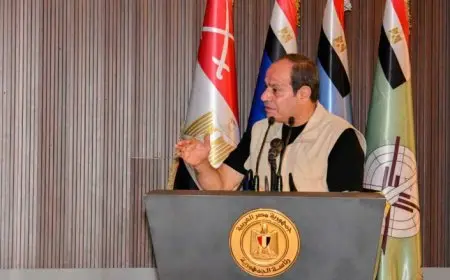 السيسي يدعو لدراسة تجارب الدول التي واجهت ظروفا صعبة وتجاوزتها بالإرادة والعمل والصبر