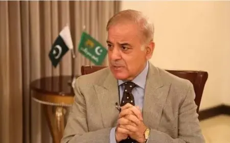 “هناك ظلم فادح”.. رئيس وزراء باكستان يدعو لوقف الحرب بغزة