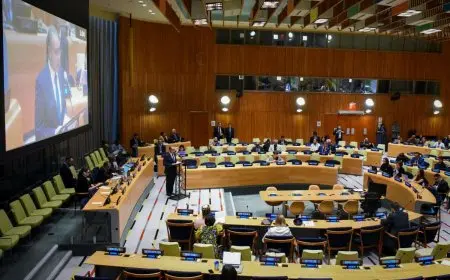 وزير الخارجية يشارك في الاجتماع رفيع المستوى للاحتفال باليوم العالمي للقضاء على الأسلحة النووية