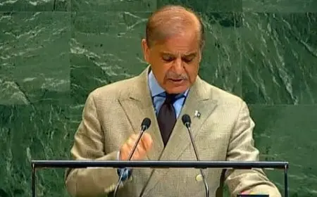 رئيس وزراء باكستان: استمرار الإبادة الجماعية الإسرائيلية في غزة وصمة عار على الضمير العالمي
