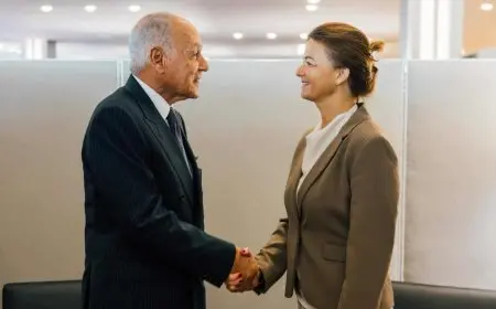 أبو الغيط: نقدر دعم سلوفينيا للقضية الفلسطينية