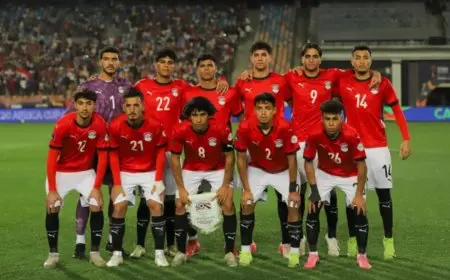 نظام بديل لتقنية الفيديو في بطولة كأس العالم للشباب