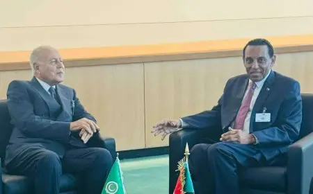 أبو الغيط يؤكد ضرورة الحفاظ على سيادة السودان ووحدته خلال لقائه مع كامل إدريس