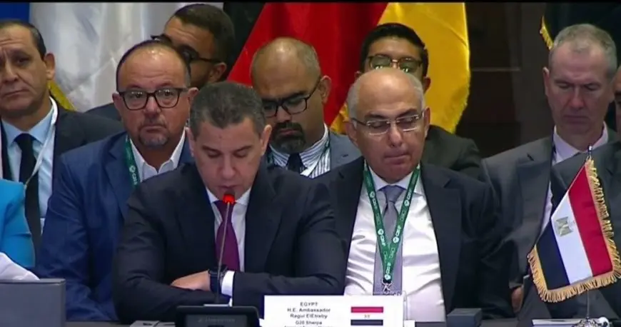 ممثل الرئيس بمجموعة العشرين: الأمن الغذائي أصبح أكثر تعقيدا بسبب الأزمات الراهنة غير المسبوقة