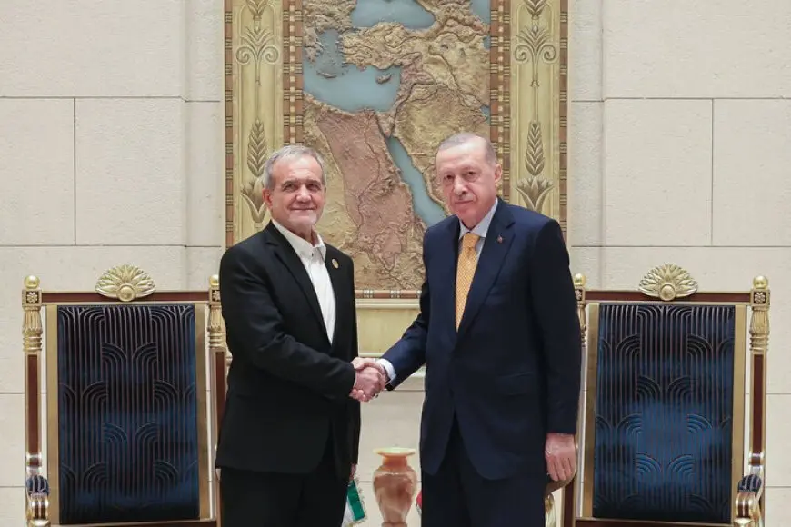 الرئيس أردوغان يلتقي نظيره الإيراني على هامش قمة شنغهاي