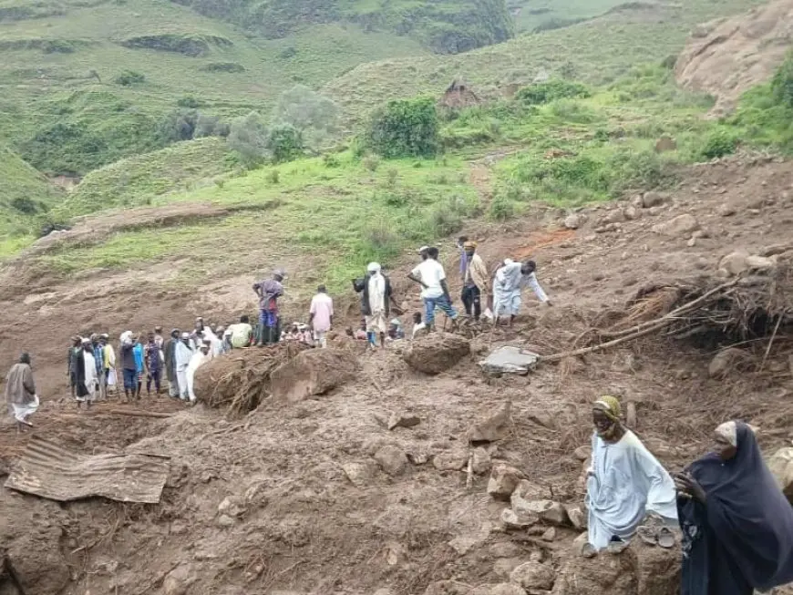 شيخ الأزهر ينعى ضحايا كارثة جبل مرة ويدعو المجتمع الدولي لدعم السودان