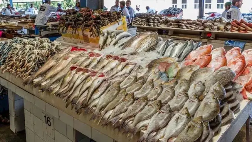 83 جنيها لكيلو البلطي.. أسعار الأسماك والمأكولات البحرية في سوق العبور اليوم