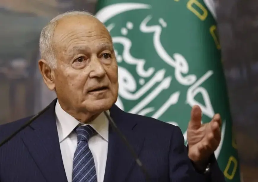 أمين جامعة الدول العربية: قرار الحكومة اللبنانية بحصر السلاح شجاع