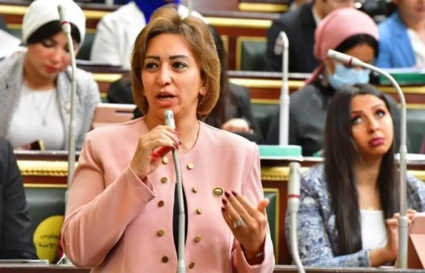 النائبة مها عبد الناصر تعلق على أداء الحكومة: لا تستجيب لأي مقترحات
