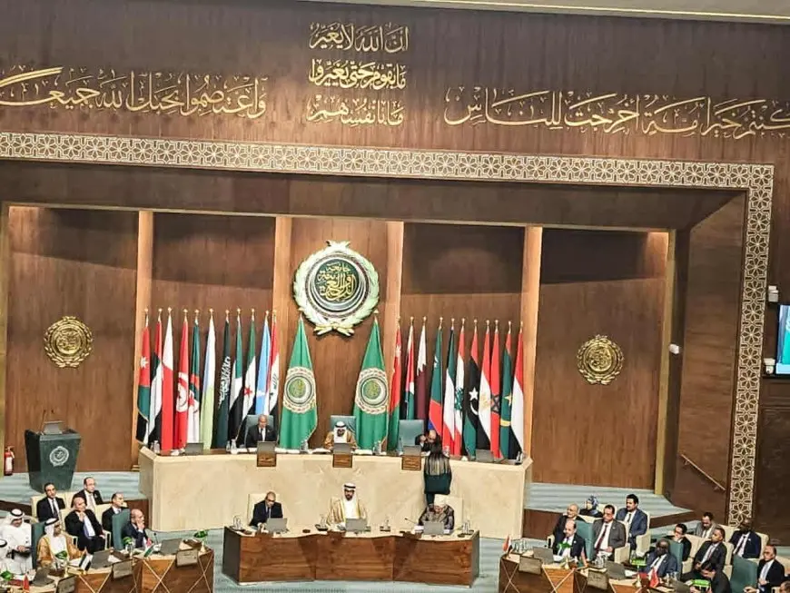 مصر والسعودية تقدمان مشروع قرار حول التعاون العربي بالشرق الأوسط: سيادة الدول العربية وموقفها من القضية الفلسطينية