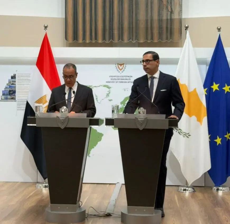 وزير الخارجية لنظيره القبرصي: مصر ترفض تهجير الفلسطينيين وتندد بتوسيع العمليات الإسرائيلية في غزة
