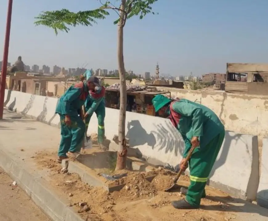 وزيرة التنمية المحلية: بدء أعمال زراعة محور صلاح سالم الجديد
