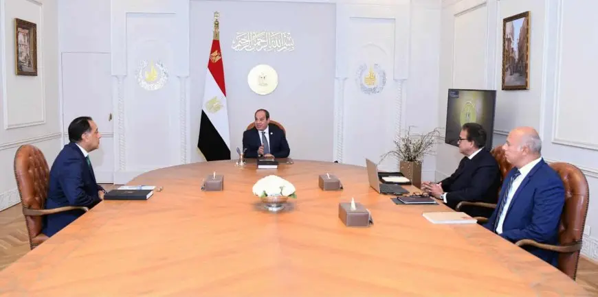 السيسي يشدد على دعم الاستثمار الخاص في المجال الطبي وصناعة الدواء