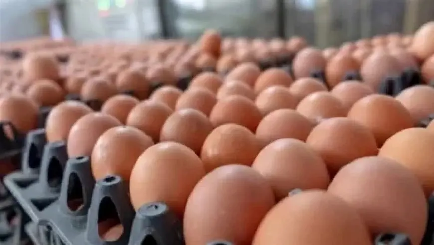 رئيس جهاز مدينة سوهاج الجديدة يلتقي عددا من أصحاب المصانع لمناقشة مطالبهم ومقترحاتهم