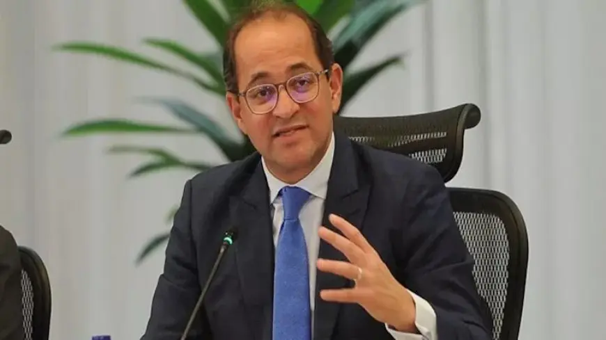 وزير المالية: كريم كوجاك شقيقي الأكبر وندين له في تغيير اسم العائلة