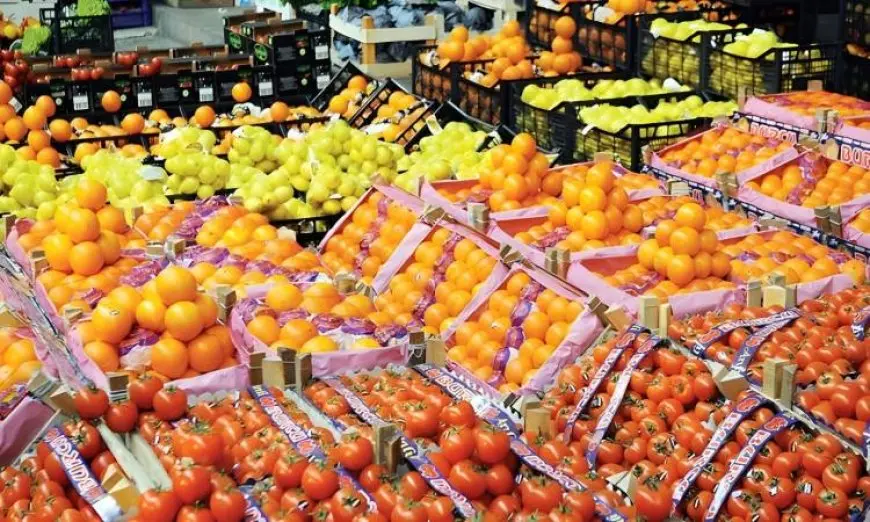 فيديو.. وزير الزراعة: نتوقع زيادة الصادرات بنسبة 30% مقارنة بالعام الماضي
