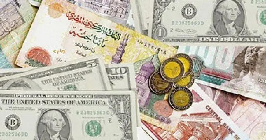8 سبتمبر 2025.. الدولار يتراجع بين 13 و29 قرشا أمام الجنيه خلال تعاملات اليوم
