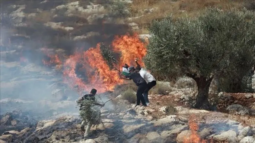 الضفة.. مستوطنون إسرائيليون يحرقون أراضي زراعية فلسطينية