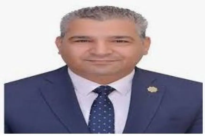 عياد رزق: السردية الوطنية للتنمية الاقتصادية تعزز مكانة مصر على خريطة الاقتصاد الإقليمي والدولي