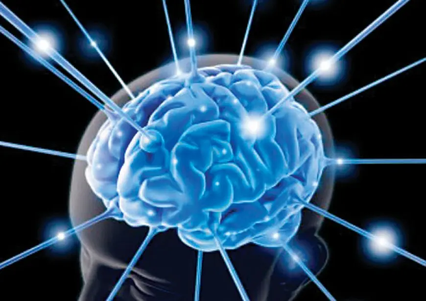 دراسة: المحليات الصناعية تعجل شيخوخة المخ