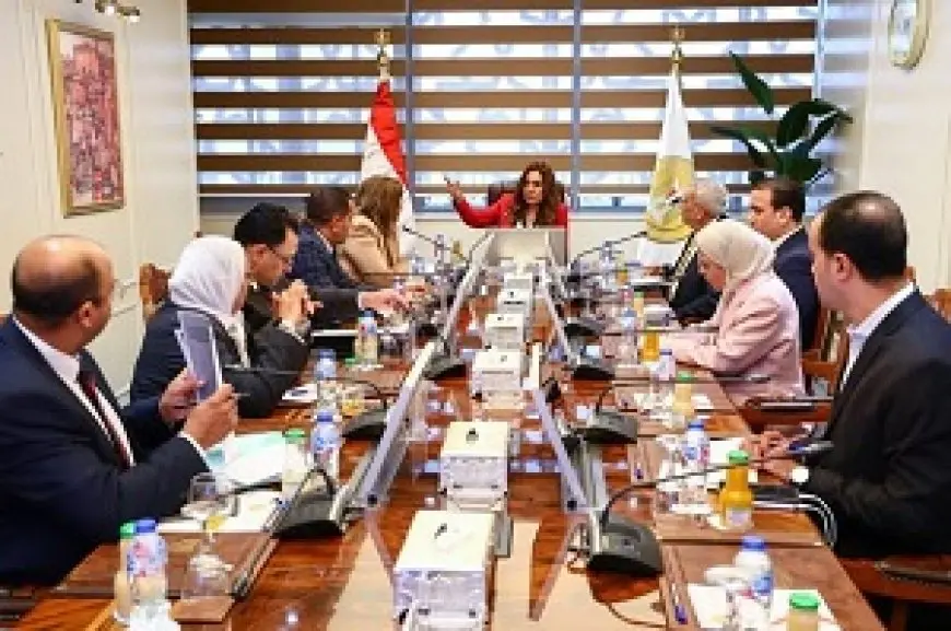 التنمية المحلية تبحث مع الإسكان الاجتماعي والرقابة المالية تعميم الخدمات التمويلية والتأمينية بالمحافظات