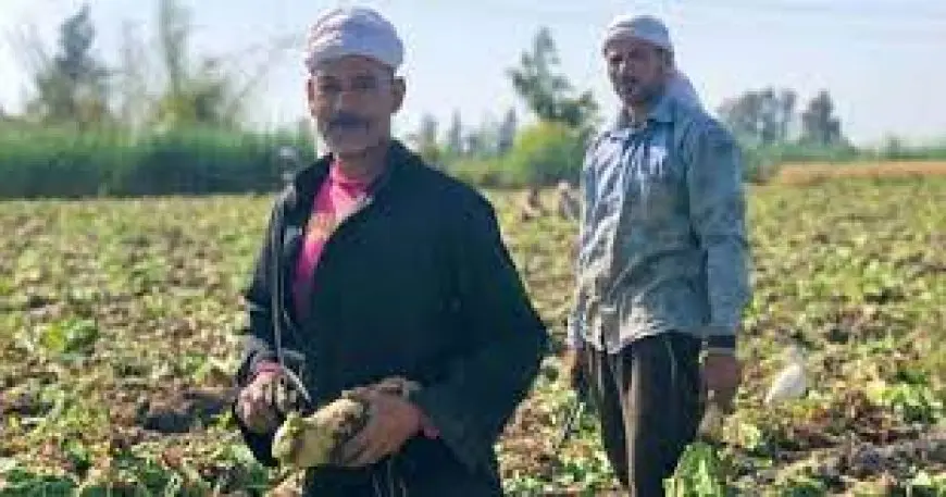 من البشاير إلى الناس في كفر عسكر.. مسلسلات رصدت نضال الفلاح المصري على شاشة الدراما