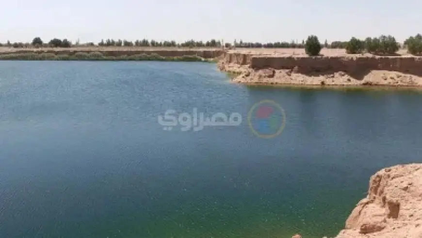 عمر رشدي حامد يخوض تجربته الروائية الأولى مع ماجد الكدواني في فيلم فيها إيه يعني