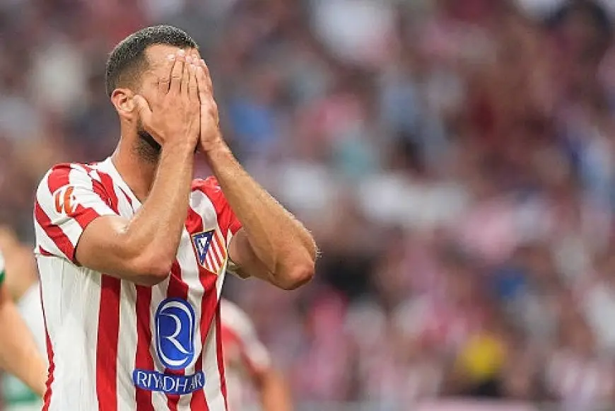 هانكو: خسرت الكثير من المال بالانتقال إلى أتلتيكو مدريد