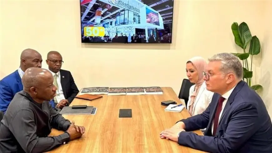 مصر ونيجيريا تبحثان زيادة الاستثمارات المشتركة في الطاقة